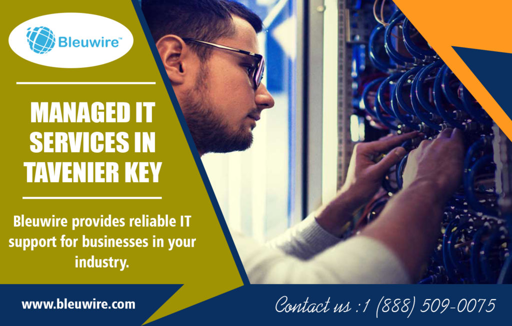 Managed IT services in Tavenier Key
