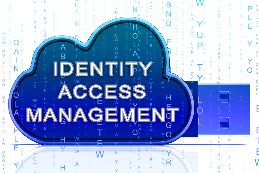 Identity and Access Management System
