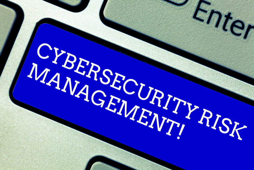 cyber risk management